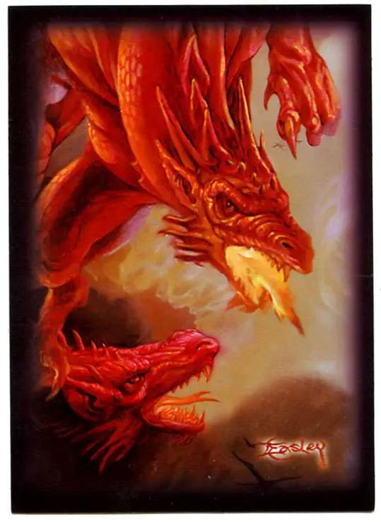 Deck Protectors - Standard Size - Easley Dragon - 50ct
