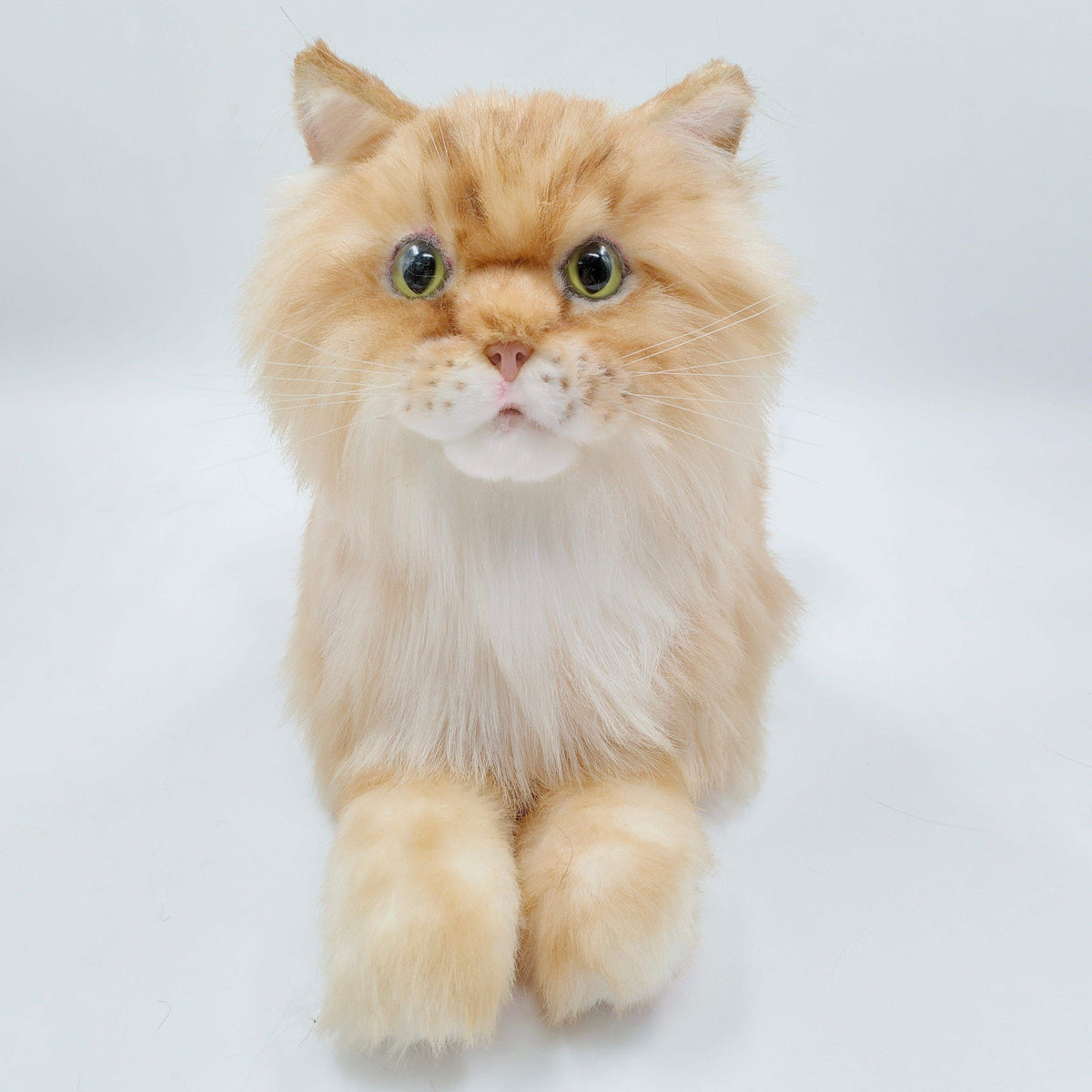 Realistic Cat Plush | Life Size Weighted | Handmade Orange