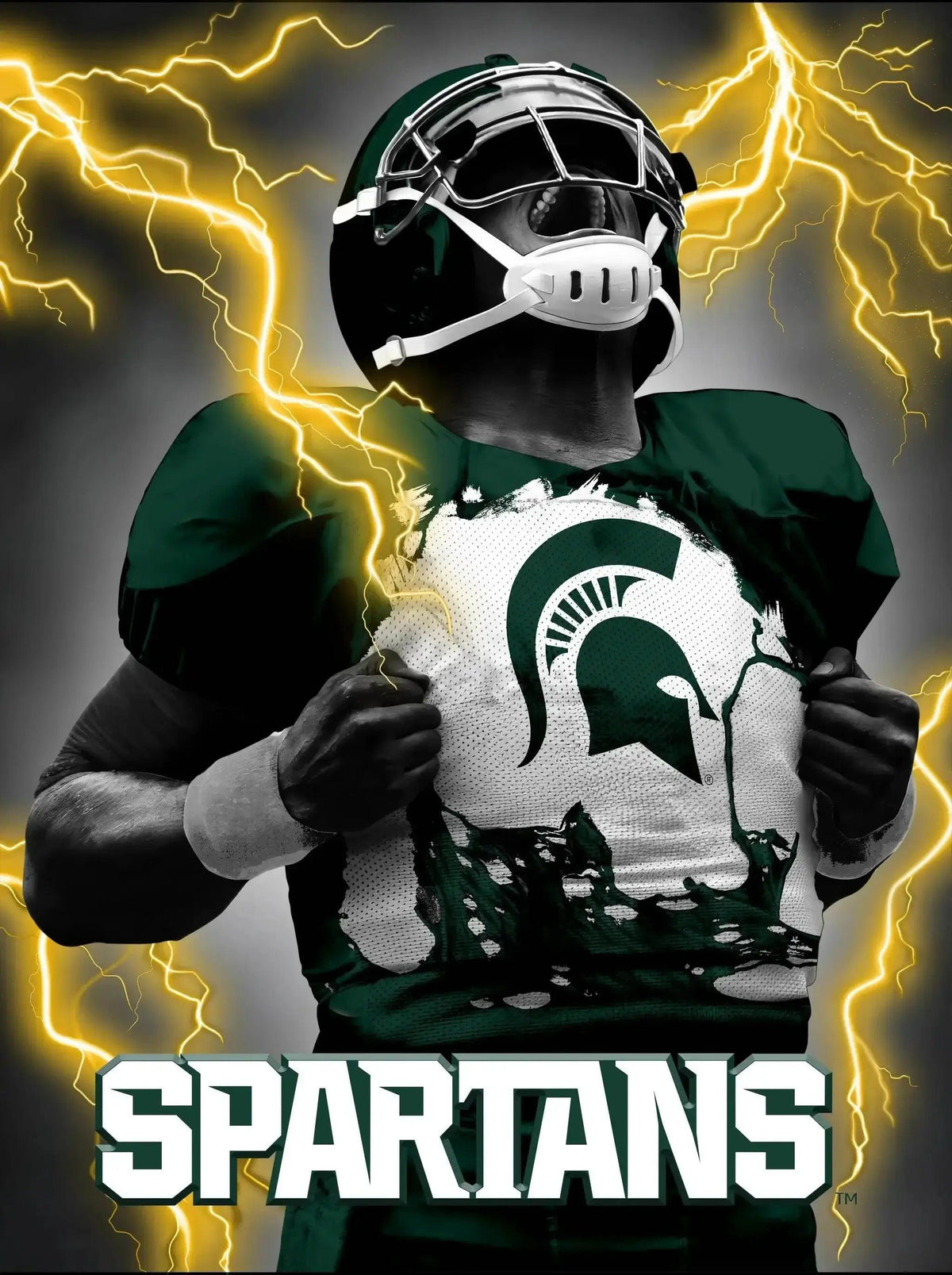 Michigan State Spartans 3D Art Print Lenticular 12x16 - ToylandEU™