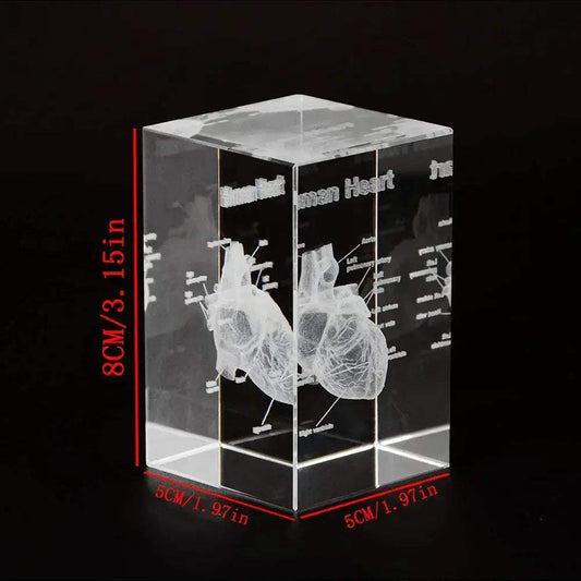 3D Crystal Heart Model Cube For Cardiology Gifts Display - ToylandEU