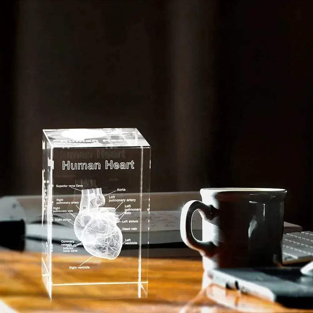 3D Crystal Heart Model Cube For Cardiology Gifts Display - ToylandEU