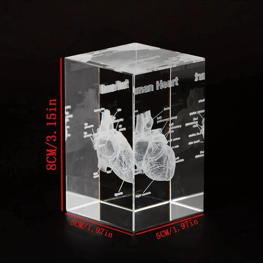 3D Crystal Heart Model Cube For Cardiology Gifts Glass - ToylandEU™