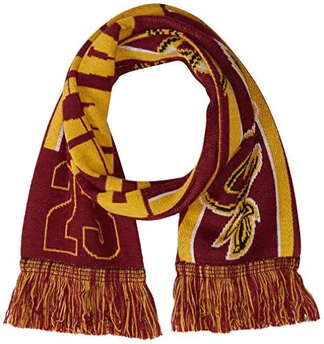 Cleveland Cavaliers Lebron James Scarf - Player Image