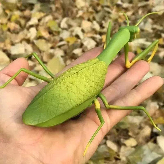 Amazing RC Cockroach 6Btn Simulation Prank Toyland EU - ToylandEU™