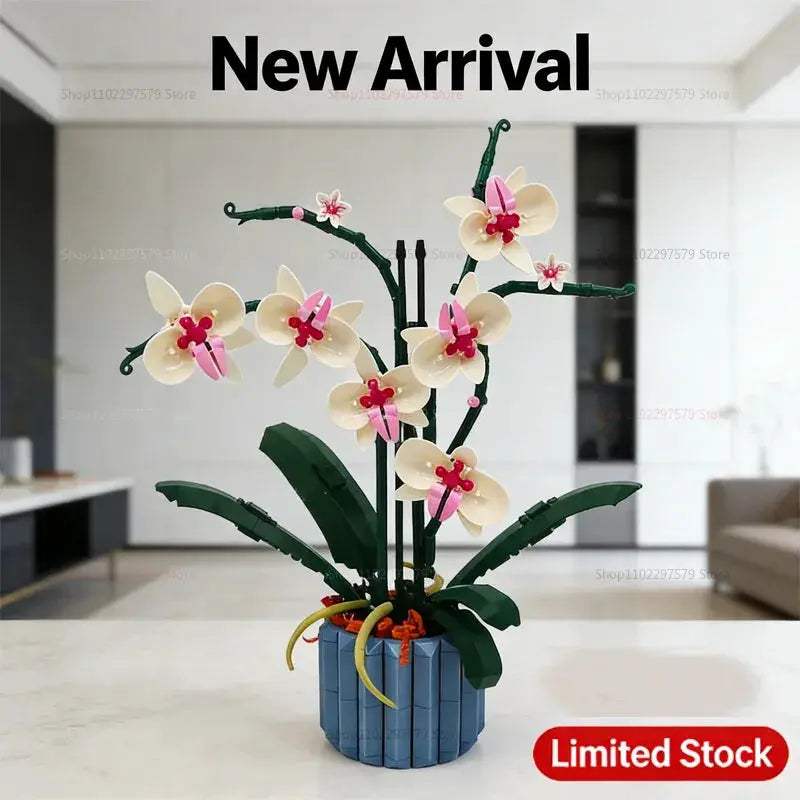 Creative DIY Orchid Building Kit For Gorgeous Home Decor - ToylandEU