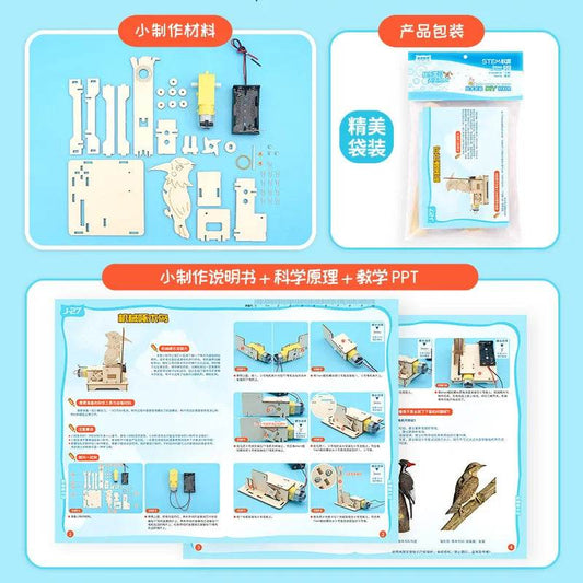 DIY Woodpecker Assemble Model Science Toys Children Technologia Educational STEM Kit Wooden Puzzle - ToylandEU