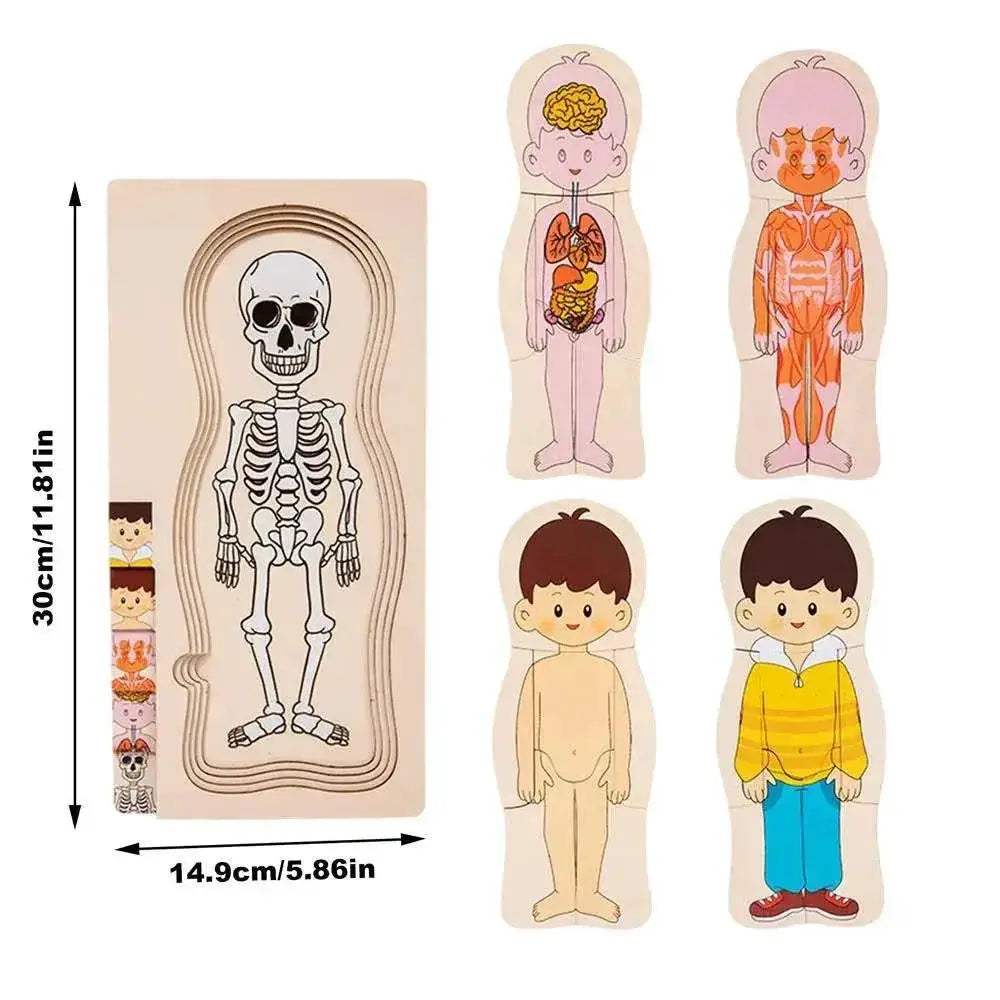 Engaging Human Body Puzzle 6Piece Wooden Kit Toyland EU - ToylandEU™