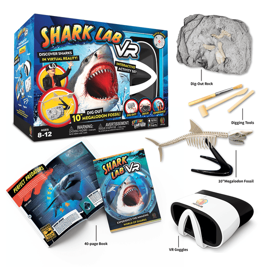 Educational Science Kit | VR Goggles & Fossil Dig | Toylandeu™