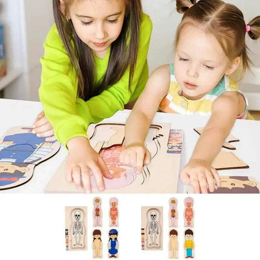 Engaging Human Body Puzzle 6Piece Wooden Kit Toyland EU - ToylandEU™