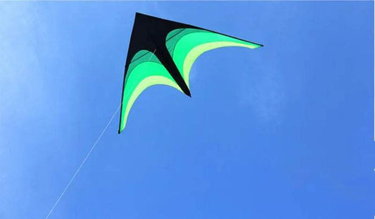 Giant Delta Kite for Kids - 100m Line, CE/EN71 Certified Fun! - ToylandEU