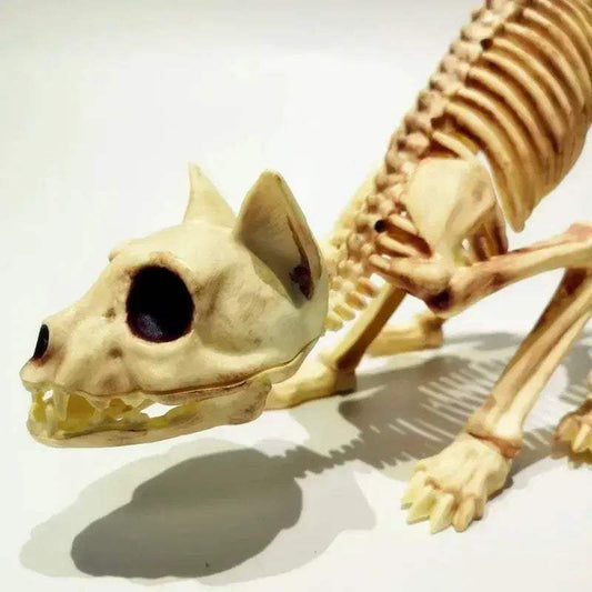 Halloween Cat Skeleton Decoration With Crouching Pose - ToylandEU