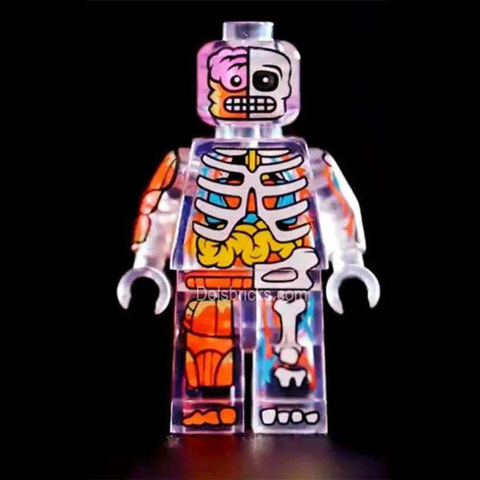 Transparent Anatomy Minifigure For Lego Education And Display - ToylandEU™