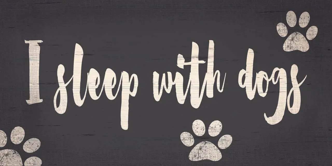 I Sleep With Dogs Wood Sign 10x5 Inches Hanging Rope - ToylandEU™