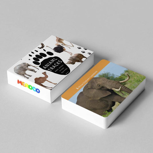 Interactive African Animal Footprint Flash Cards for Kids Educational Fun - ToylandEU