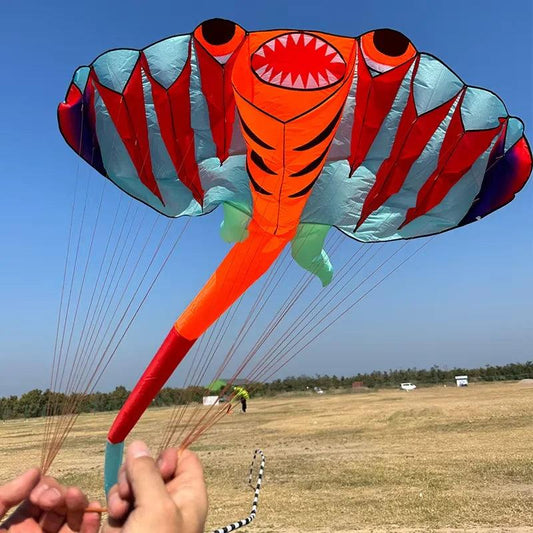 Kite | 12.5M Ray Soft Two-Color Beach Kite | Toylandeu™
