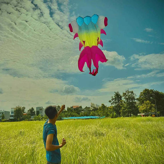 Kite | 5m/9m Goldfish Matte | Toylandeu™