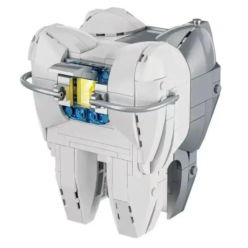 Lego Compatible Building Blocks Tooth Model With Light - ToylandEU™