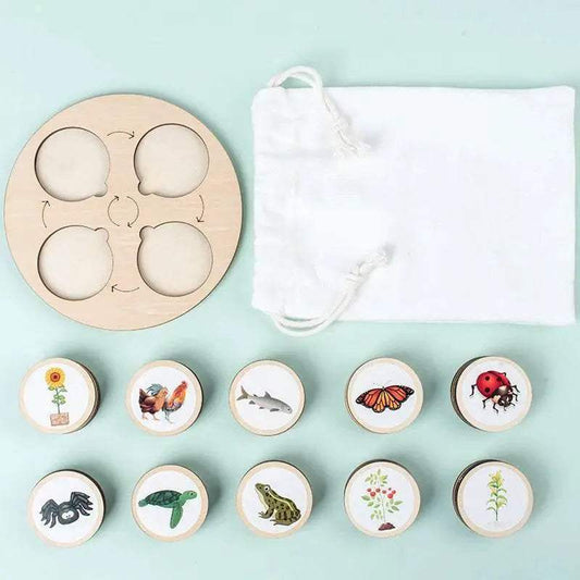 Life Cycle Board Montessori Kit for Kids Biology Science Education Sensory Tray Animal Figure Sorting Christmas Gift - ToylandEU