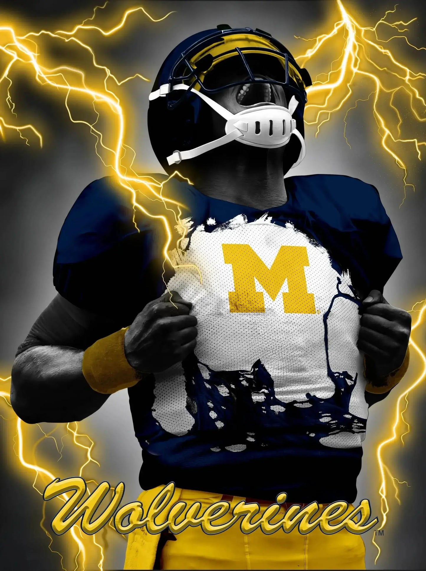 Michigan Wolverines 3D Art Print 12x16 Lenticular Player - ToylandEU™