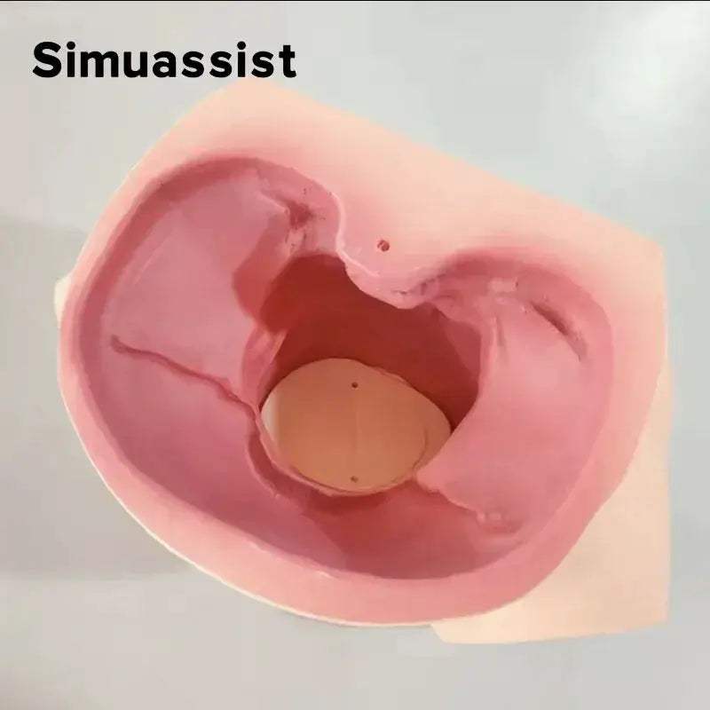 Midwifery Training Model for Childbirth Simulator with Realistic Pelvis - ToylandEU
