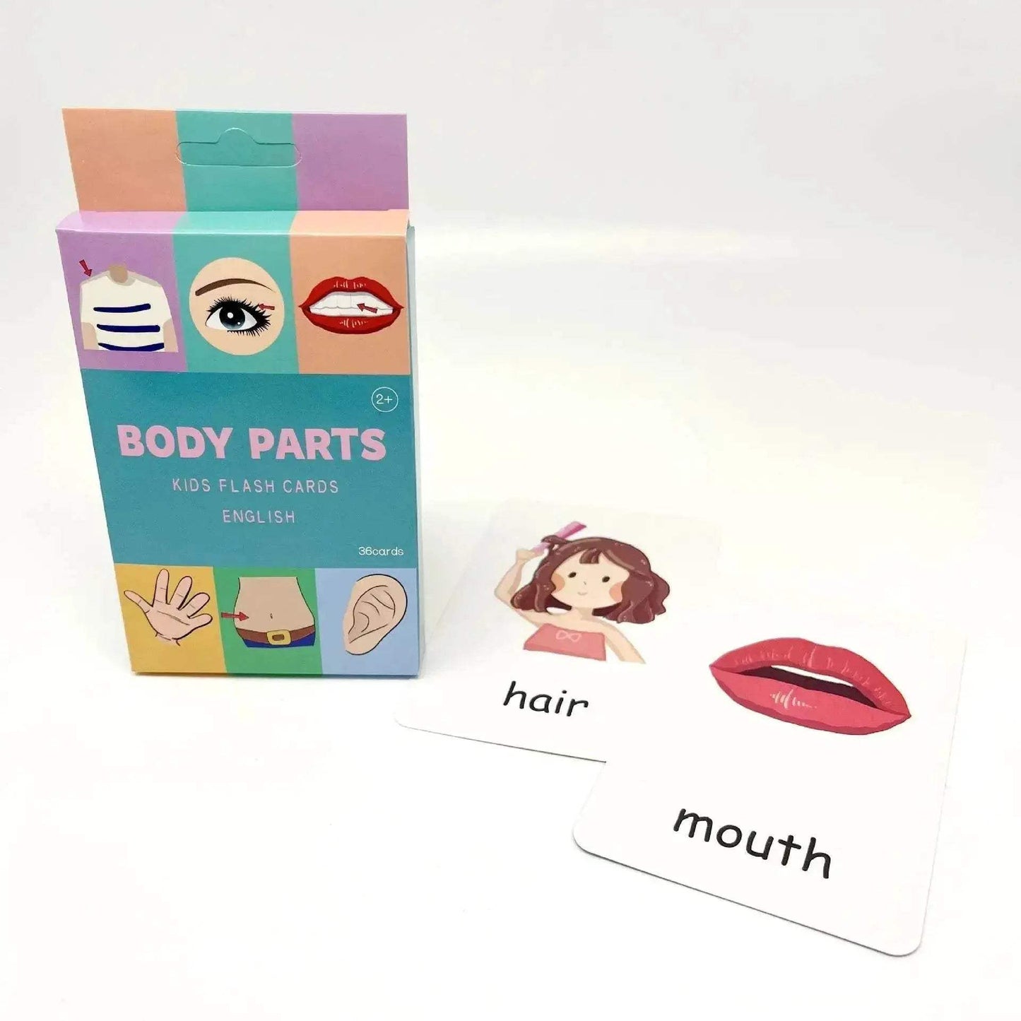 Montessori Alphabet Flashcards for Kids 3-14 Years 36 Cards 8 Themes Educational Toys Reading Writing - ToylandEU