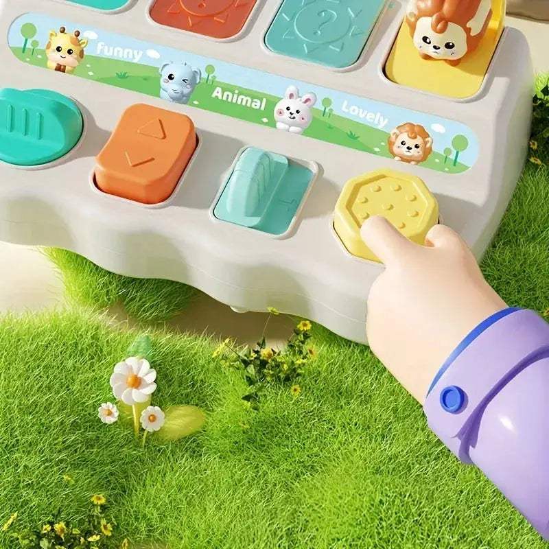 Montessori Animal Toys With Pop Up Boxes Enhance Motor Skills - ToylandEU