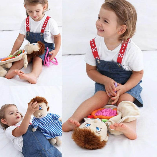 Educational Anatomy Plush Toy Kit Montessori For Preschool - ToylandEU