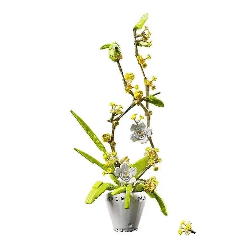 Orchid Bonsai DIY Flower Kit for Gifts and Aromatherapy - ToylandEU