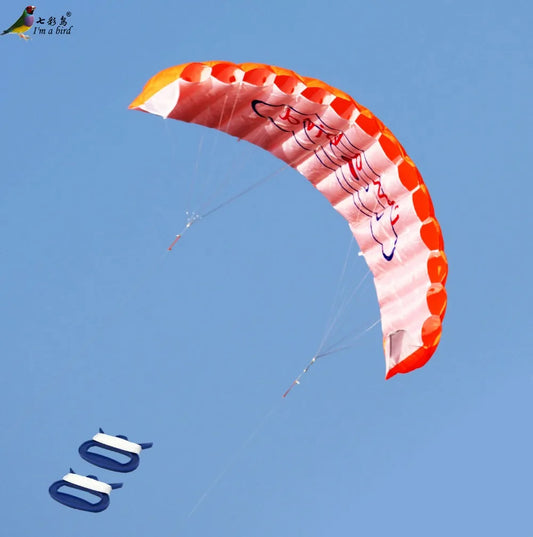 Parafoil Kite | Dual Line Stunt Rainbow | Toylandeu