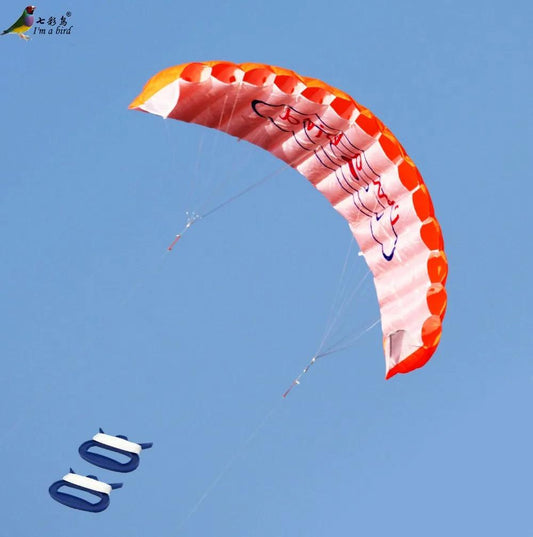 Parafoil Kite | Dual Line Stunt Rainbow | Toylandeu