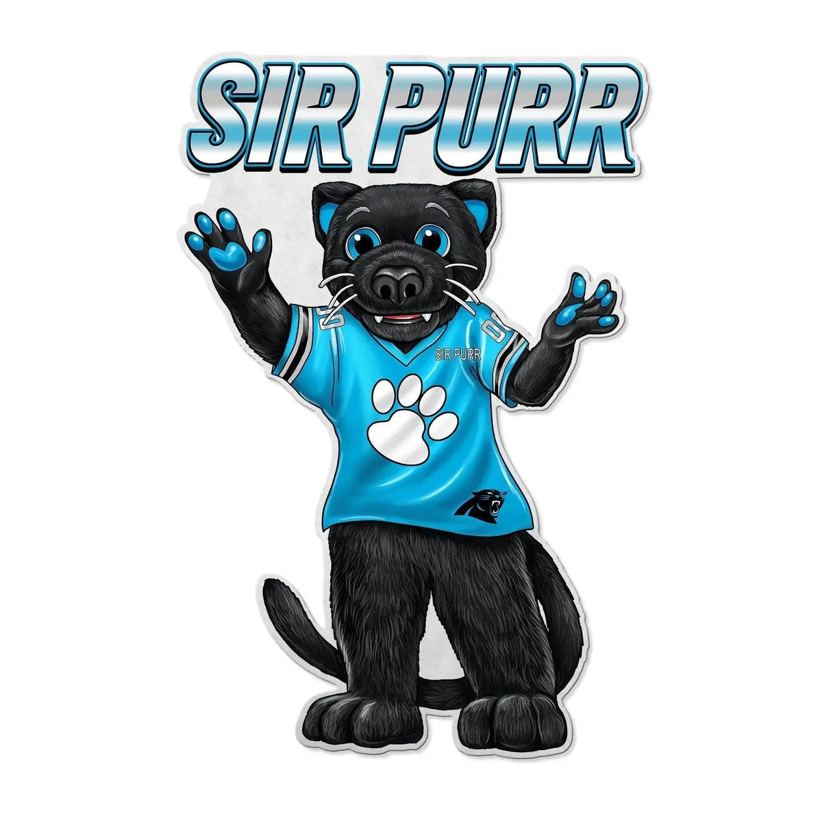 Carolina Panthers Pennant Felt Mascot Design Home Decor - ToylandEU™