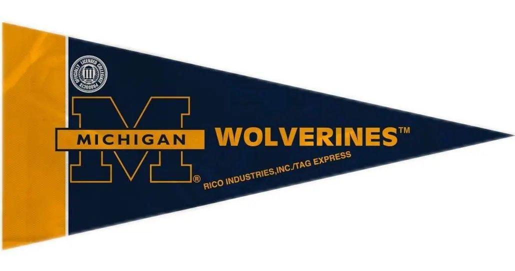Michigan Wolverines Pennant Set Eight Mini Felt Pennants - ToylandEU™