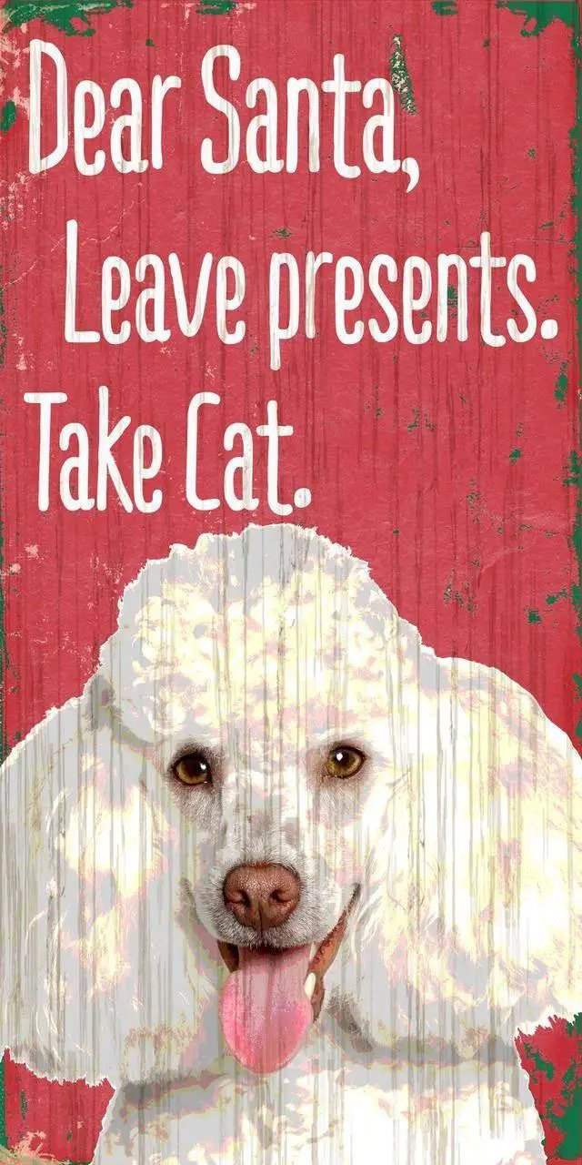 Pet Sign Dear Santa Leave Presents Take Cat Poodle 5x10 - ToylandEU