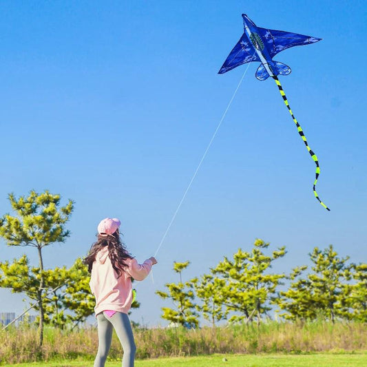 Plane Kite | Handle and Line Included | Toylandeu™