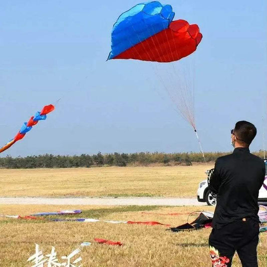 Premium Kite Heart Shaped 3D 5.5M With Long Tail Beach Fun - ToylandEU