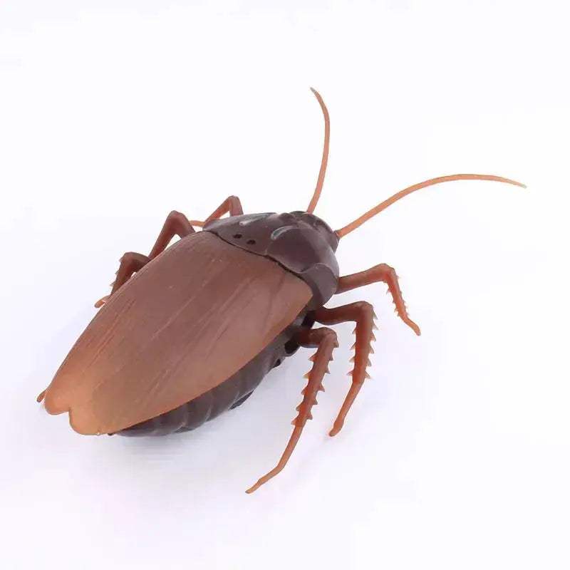 RC Spider Insect Toy With Remote Control Prank Gift - ToylandEU