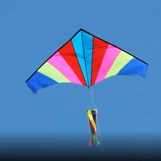Rainbow Fly Kite Beginner Single Line Multicolor Delta Kite - ToylandEU