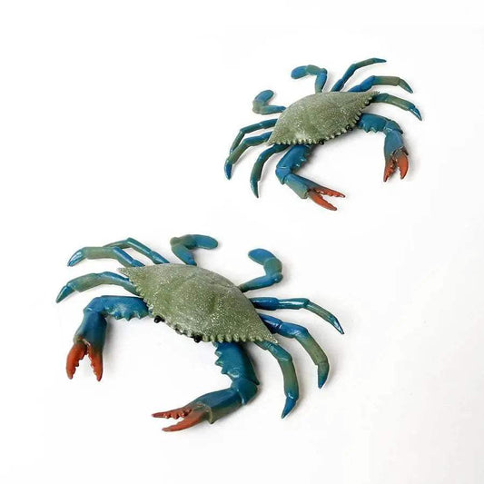 Realistic Sea Life Figurines Hermit Crab King Crab Display - ToylandEU