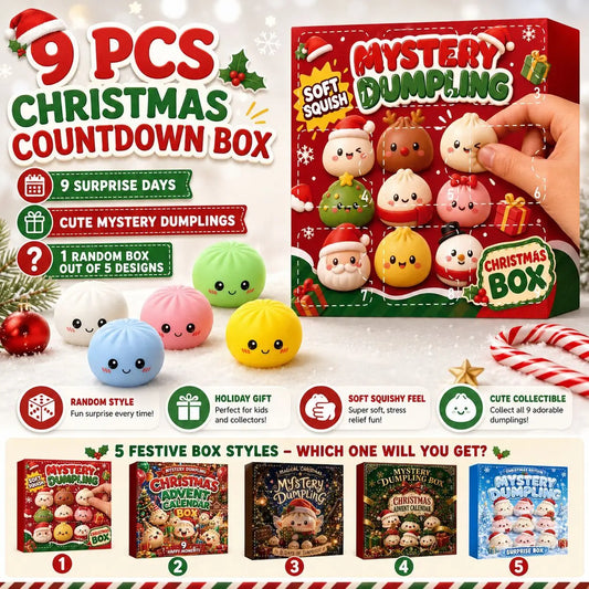 Advent Calendar | 9 Day Dumpling Fidget Squishies | Mystery Blind Box | Squeeze Sensory Holiday Gift