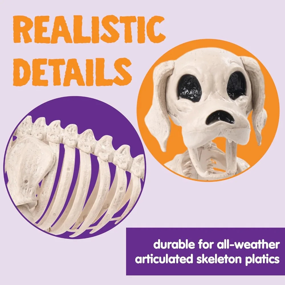 Halloween Dog Skeleton | Poseable Full Body | Realistic Design | Small 12 Inch