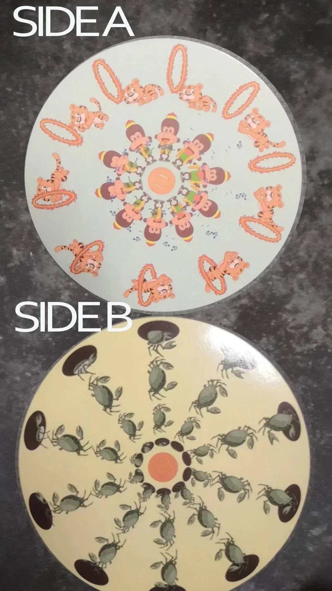 STEAM Phenakistoscope Mirror Animation Set Early Learning Toy for Kid Science Visual Persistence Experiment Educational Lab Kit - ToylandEU