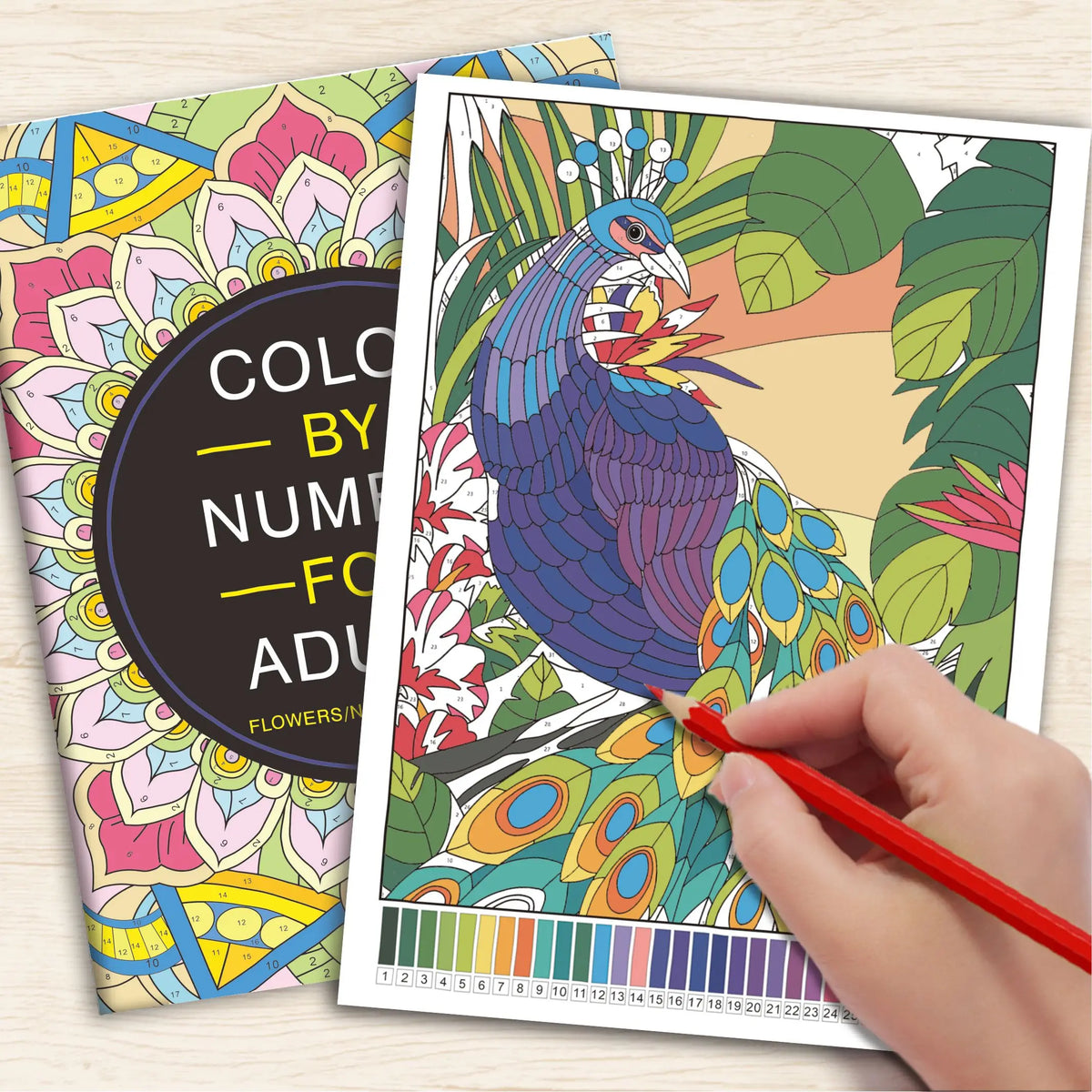 Color By Number Book | 32 Pages | Adult Floral Animal Nature Designs
