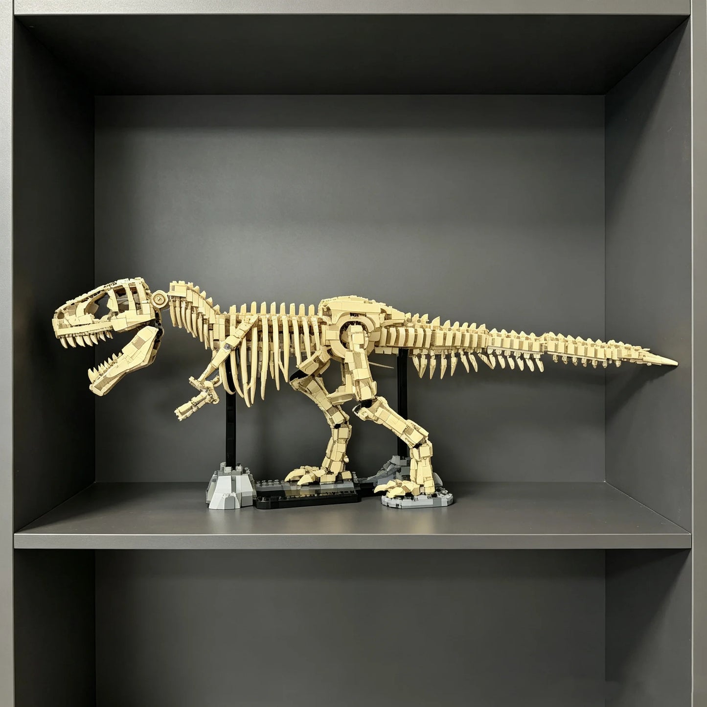 Dinosaur Model Set | 1154 Pcs | Lego Compatible | Triceratops Tyrannosaurus