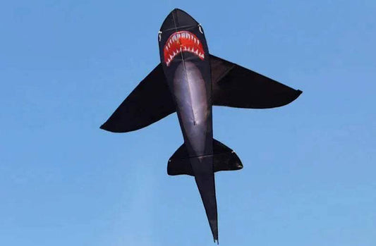 Strong Black Shark Kite with Colorful Tail for Beginners - ToylandEU™