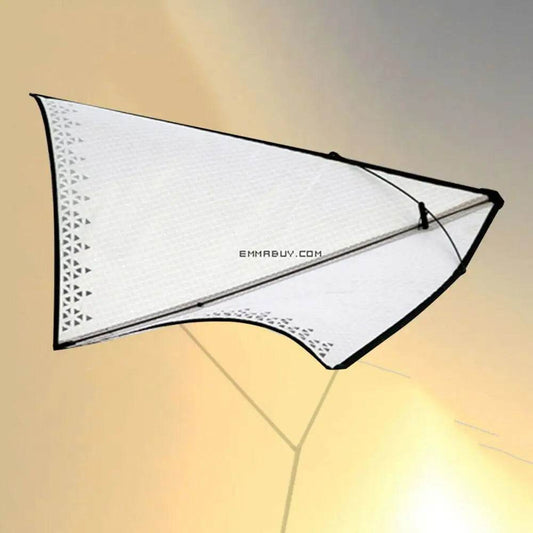 Super-Light, High-Performance No-Wind Freilein Raptor Kite with Carbon Frame - ToylandEU