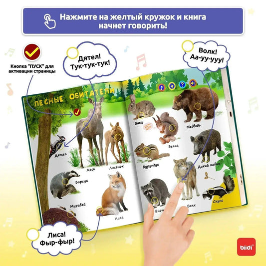 Talking Montessori Educational Book For Kids 600 Audio - ToylandEU™