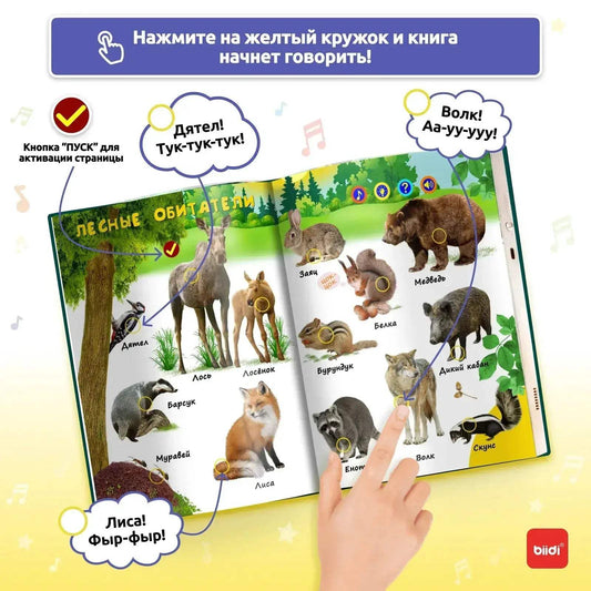 Talking Montessori Educational Book For Kids 600 Audio - ToylandEU™