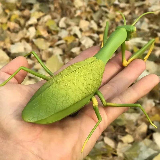 Ultra Premium RC Toy Cockroach Simulation Prank For Kids - ToylandEU