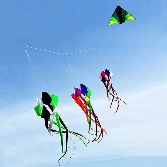 Vibrant Large Nylon Kites - Free Shipping & Durable Design! - ToylandEU