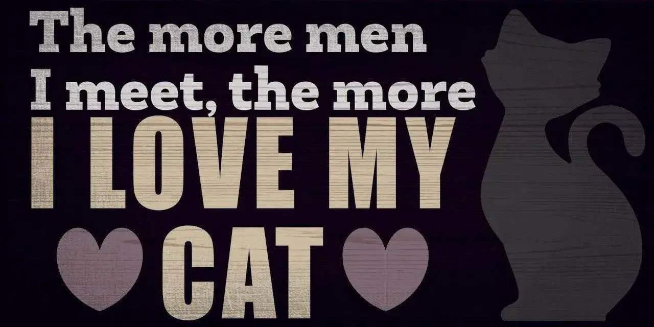 Wood Pet Sign I Love My Cat 10 By 5 Inches With Rope - ToylandEU™